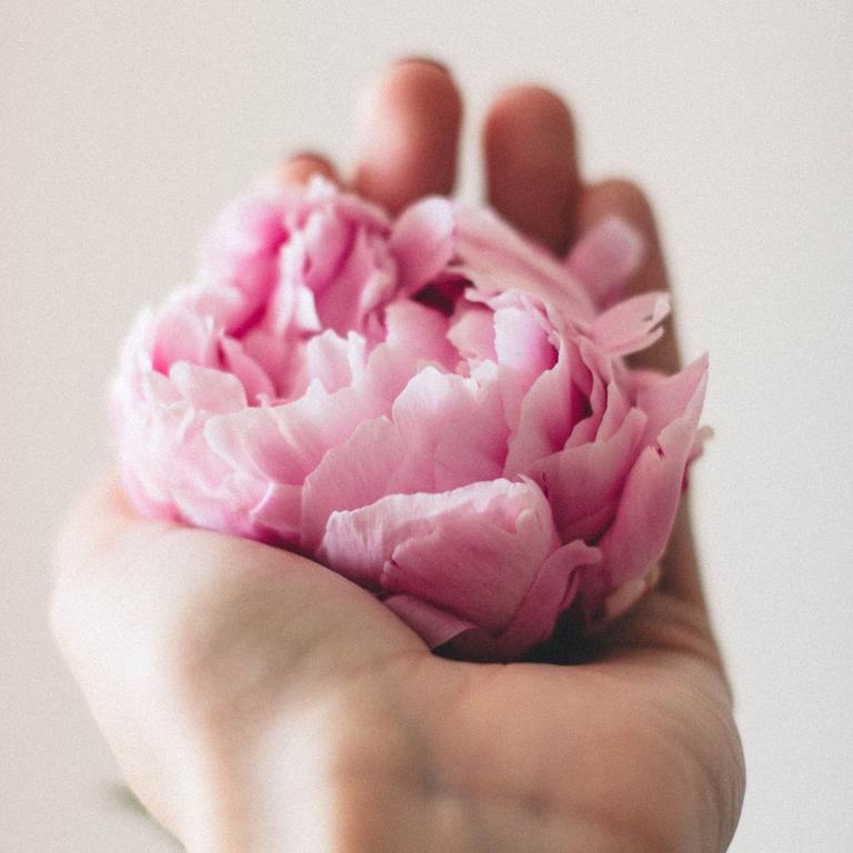 hand holding a flower